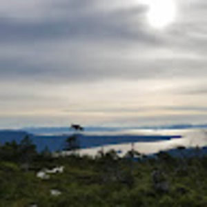 Meet your Posher, Shane